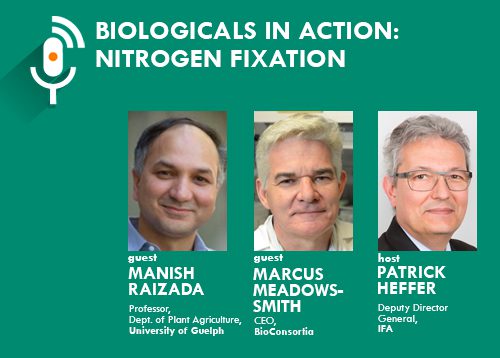 Biologicals in Action: Nitrogen Fixation