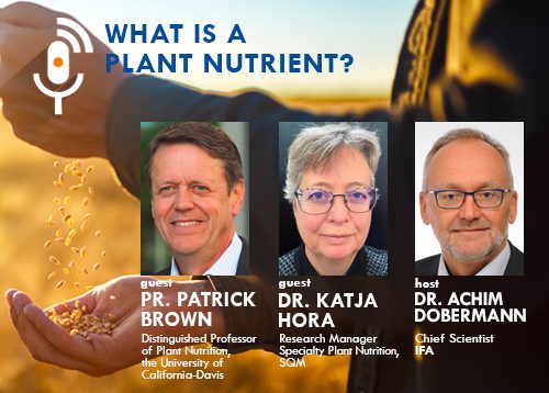 What Is a Plant Nutrient?