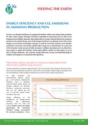 Energy Efficiency and CO2 Emissions in Ammonia Production