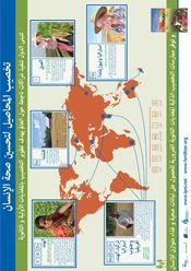 Countries Are Implementing Successful Partnerships Worldwide to Develop Macro and Micronutrient Fertilization. Infographic – Fertilizing Crops to Improve Human Health. Arabic Version.