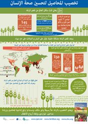 1/3 of the World Population is Deficient in Zinc. Infographic – Fertilizing Crops to Improve Human Health. Arabic Version.