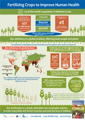 1/3 of the World Population is Deficient in Zinc. Fertilizing Crops to Improve Human Health – Infographic