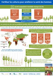 1/3 de la population mondiale manque de zinc. Infographie – Fertiliser les cultures pour améliorer la santé des hommes