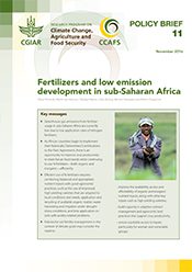 Fertilizers and low emission development in sub-Saharan Africa
