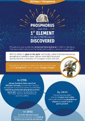 350 Years of Phosphorus – History
