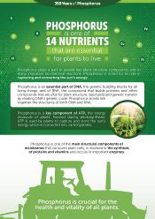 350 Years of Phosphorus – Nutrient