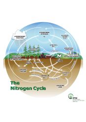 Generalized Nutrient Cycles – Nitrogen