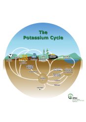 Generalized Nutrient Cycles – Potassium