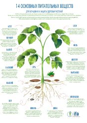 14 Essential Nutrients For Improving and Protecting Plant Health