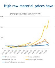 Why are fertilizer prices so high?