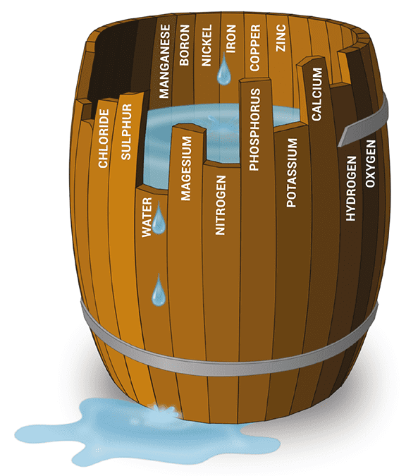 The Periodic Table and Plant Nutrition Pioneers