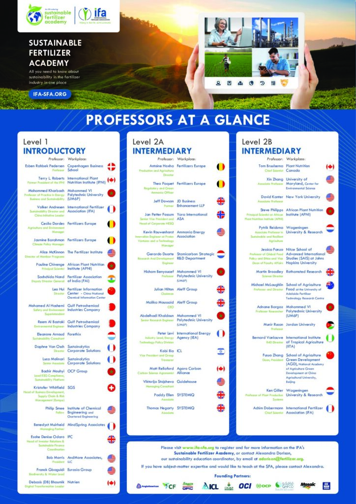 SFA Teachers at a Glance