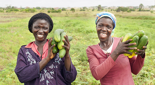 Mind the Gap! The Urgent Need for Gender Equality in Agriculture