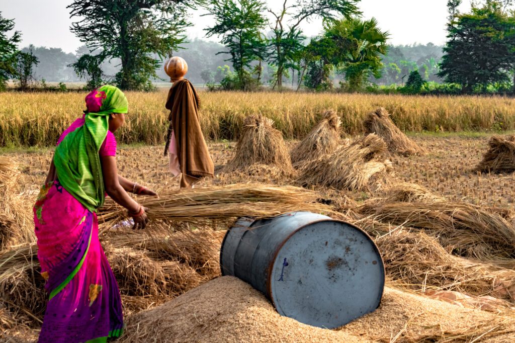 IFA and AHP Unify Efforts to Strengthen African Agricultural Systems