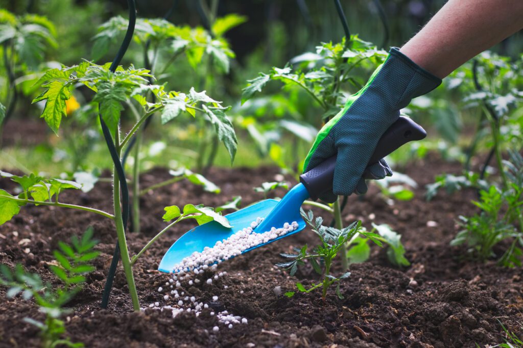 FAO and the International Fertilizer Association renew MoU to promote sustainable fertilizer use