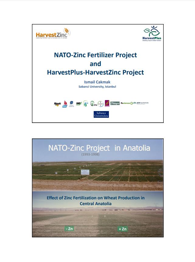 NATO-Zinc Fertilizer Project and HarvestPlus-HarvestZinc Project