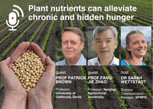 Plant nutrients can alleviate chronic and hidden hunger