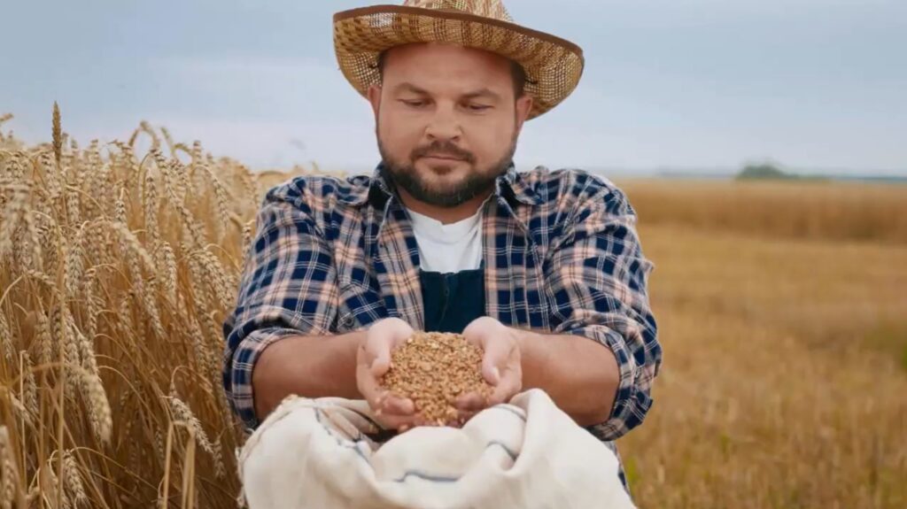 Fertilizer 101 – Lesson 10: Getting More Crop Per Granule