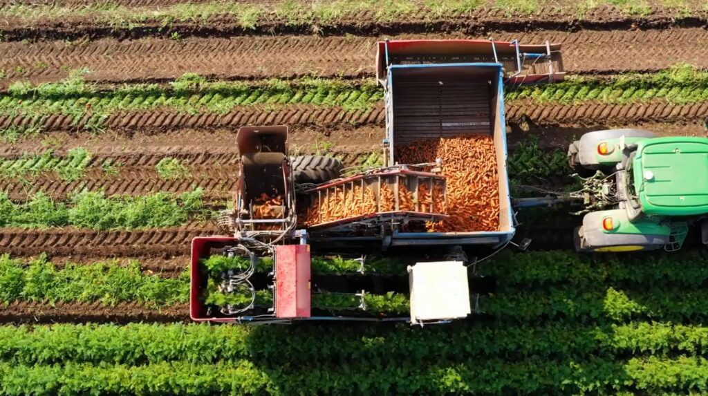 Fertilizer 101 – Lesson 6: Nitrogen The Fertilizer Made from Air