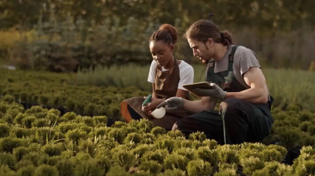 Fertilizer 101 – Lesson 1: What Are Fertilizers and Why Do Plants Need Them?